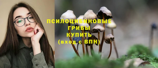 дурь Инта