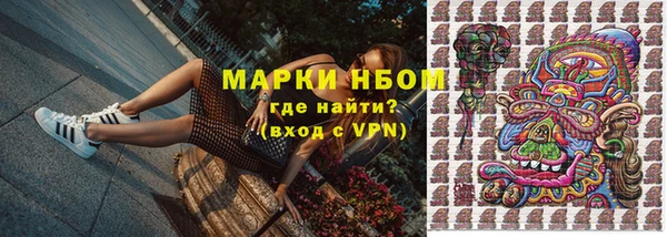 дурь Инта