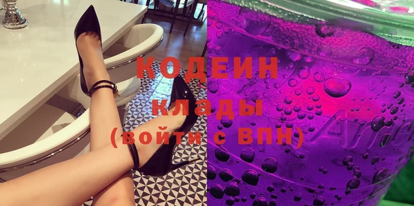дурь Инта
