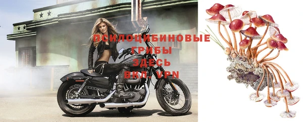дурь Инта
