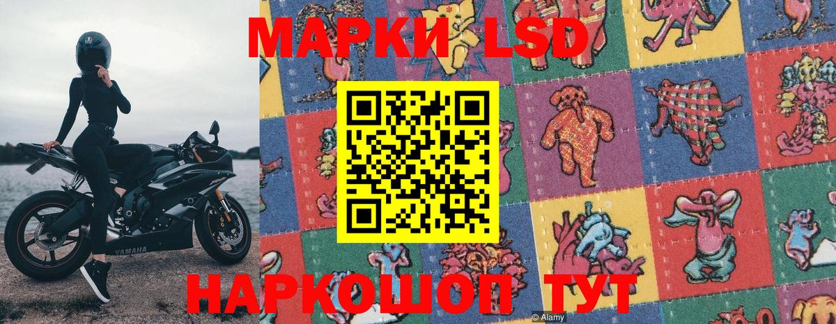 Камышлов  Наркотические марки  Вход с VPN  Наркотические марки 1,8мг 
