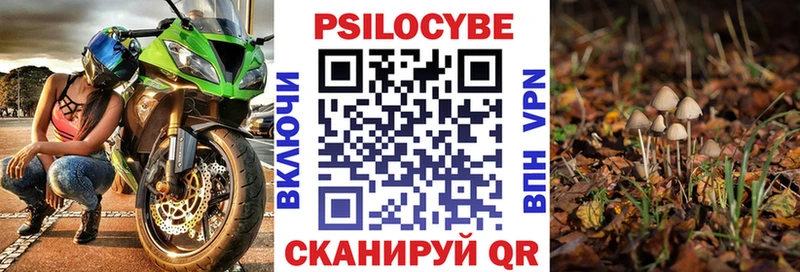hydra ONION  Камышлов  Галлюциногенные грибы Magic Shrooms 