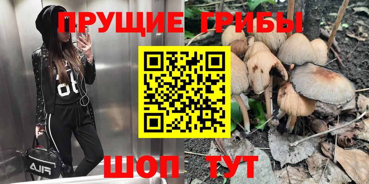 Псилоцибиновые грибы прущие грибы  закладка  Камышлов  Вход с VPN  Псилоцибиновые грибы GOLDEN TEACHER 